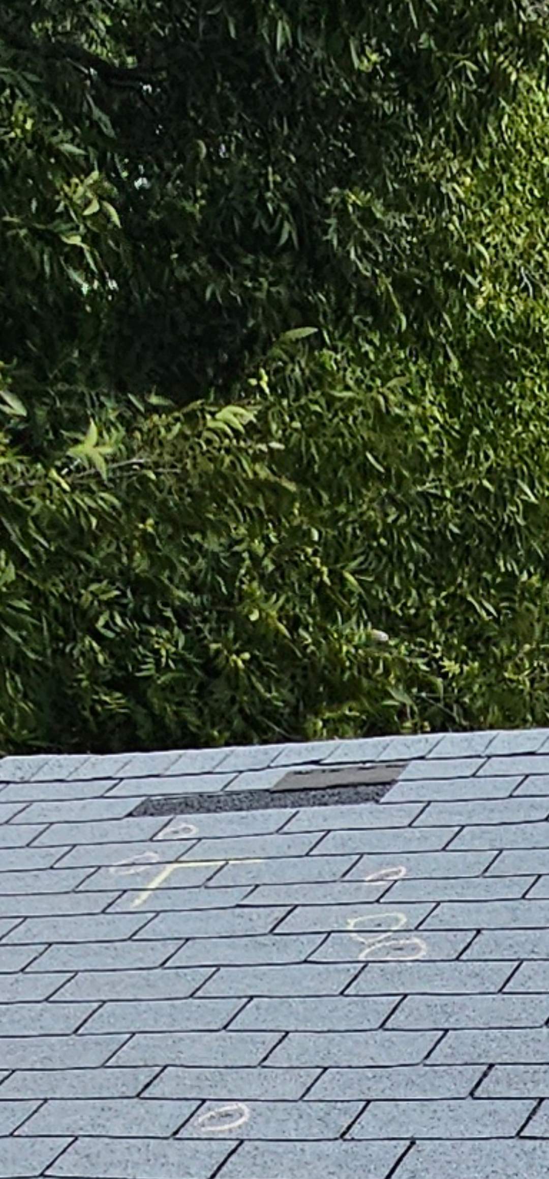 Residential Roof Replacement in Dallas - Blue Sage Dr. by road roofing llc