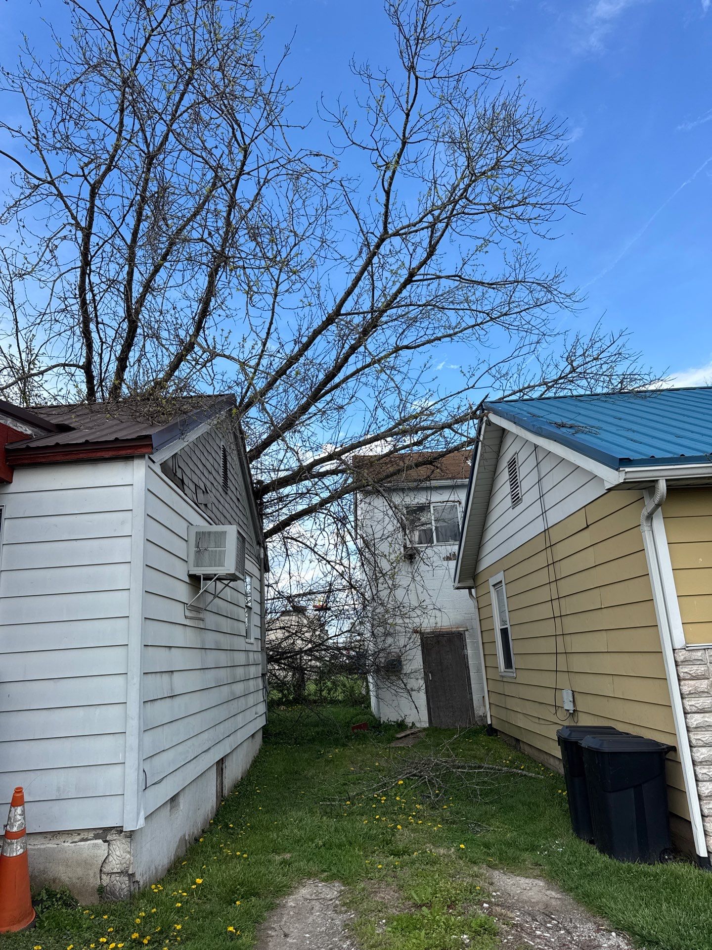 Project in Nitro, WV Rotator Crane Lifts Tree Off House | Nitro WV • One Wrong Move Job | Rotator Crane Tree Removal • Heavy Rescue Tree Job | Nitro WV • Extreme Tree Removal Over Home | Nitro WV by Jones Empire LLC