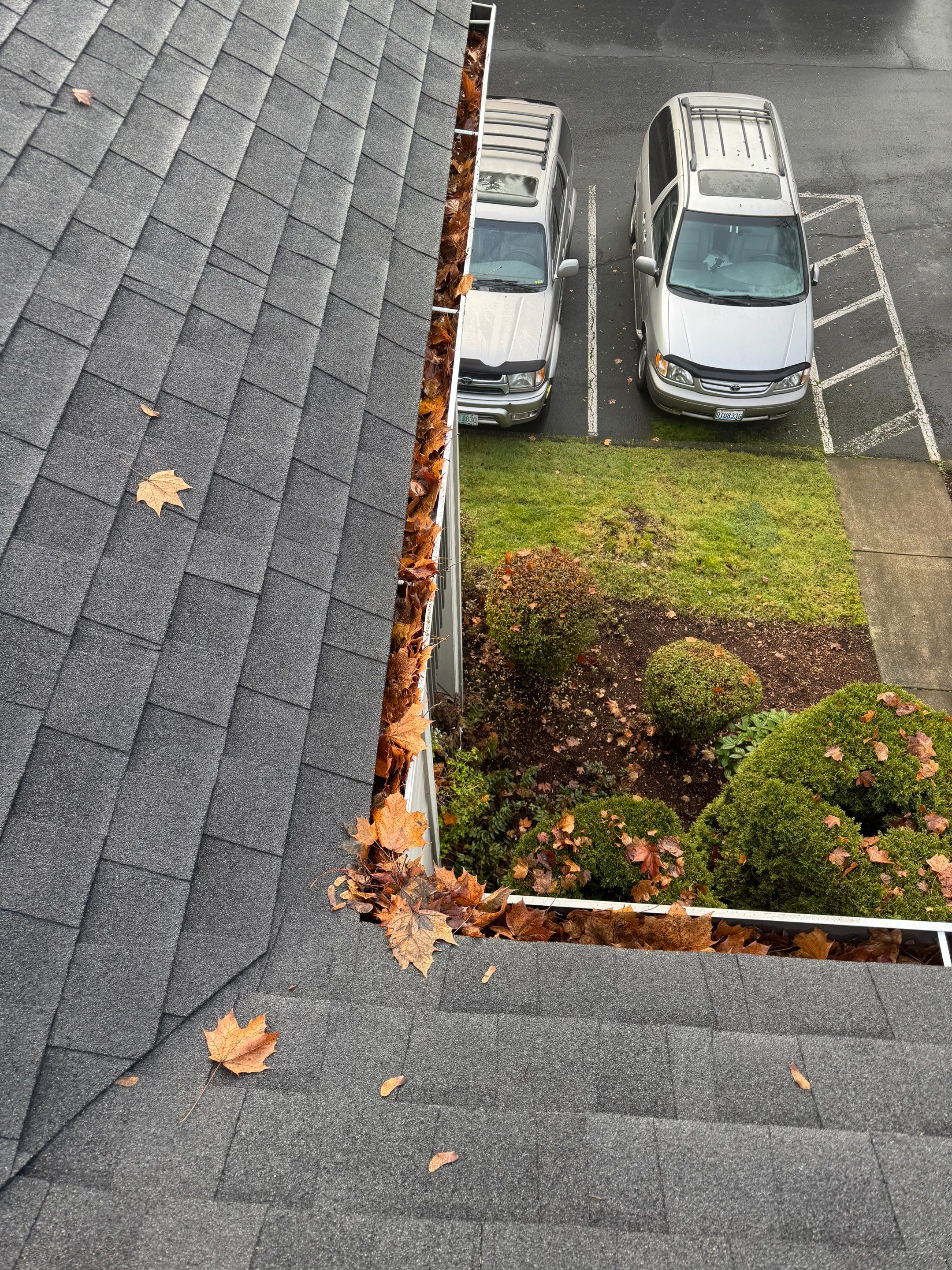 Commercial gutter cleaning Vancouver before photo with filled gutters