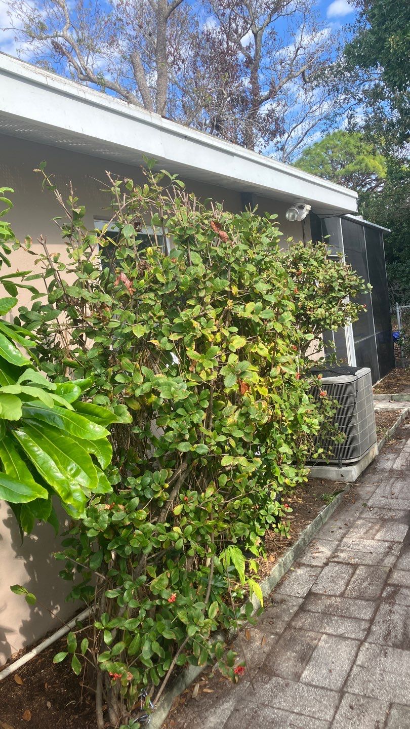 Project in St Pete 33712 by Mitchell Roofing Company LLC 