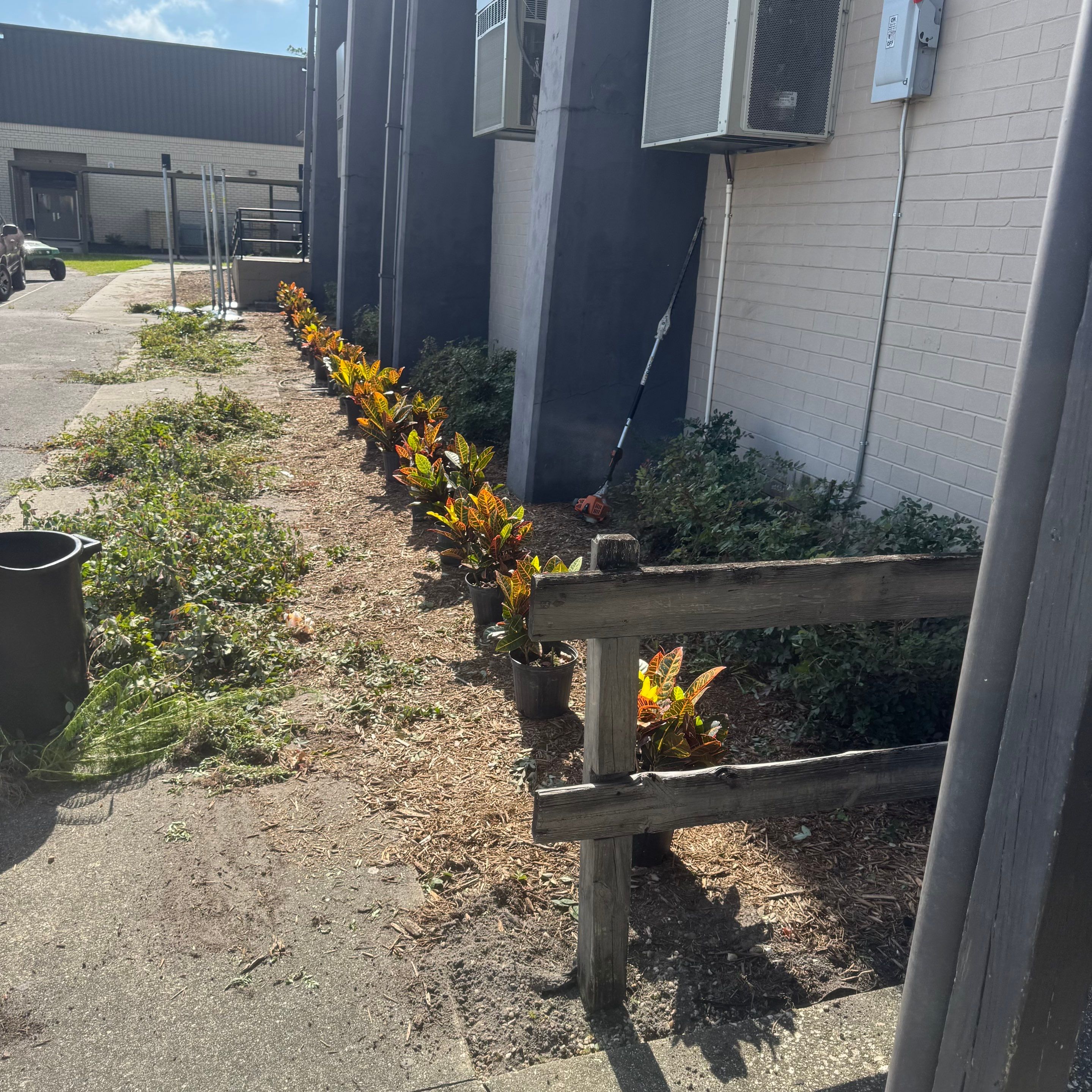 Green Cove Springs Junior High School | Landscape Refresh by ProGreen Services