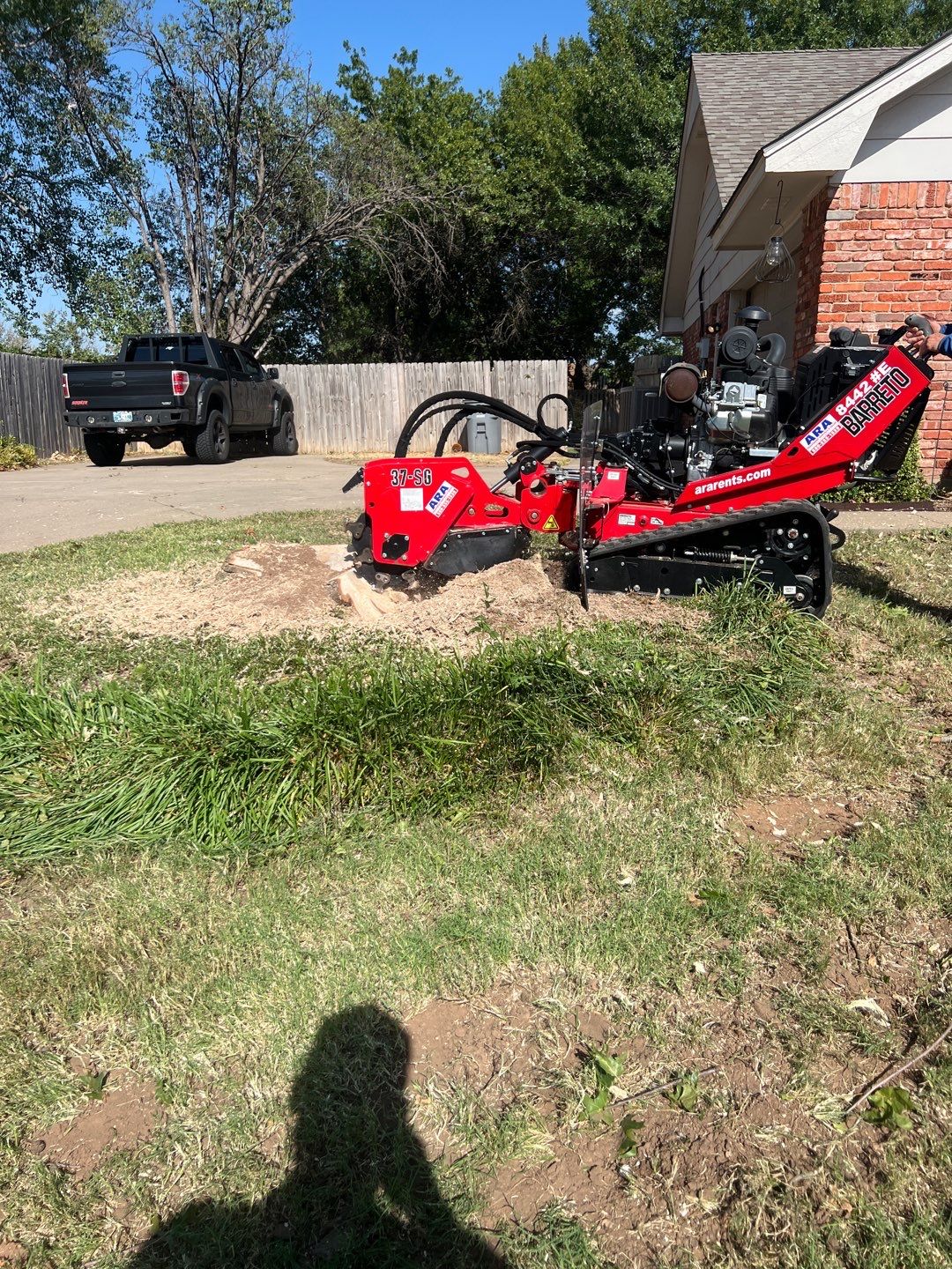 Tree Removals by Clays Services Inc