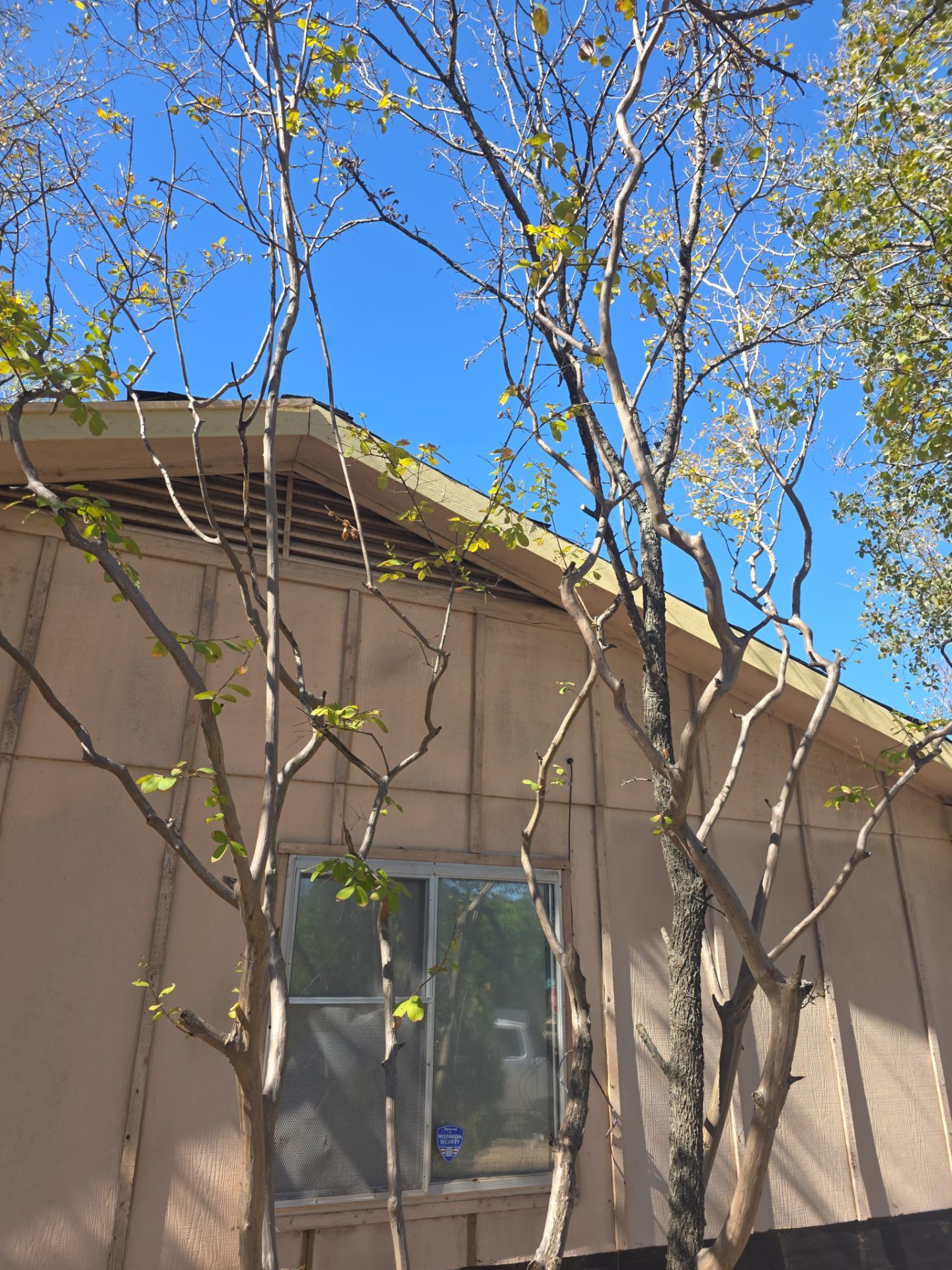 Giving Back to Veterans by REPS OF TEXAS