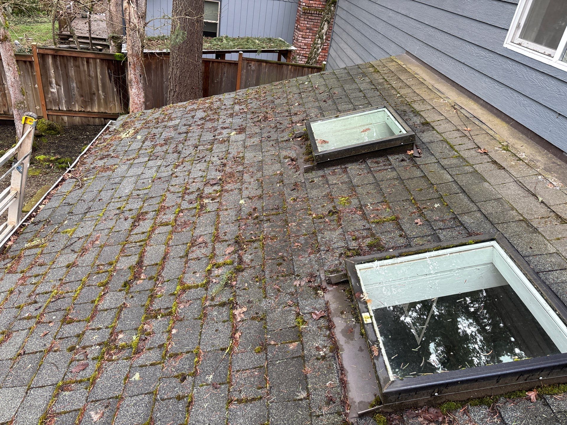 Siding Repair Project by BEST Roofing & Waterproofing