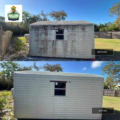 Shed Exterior Cleaning