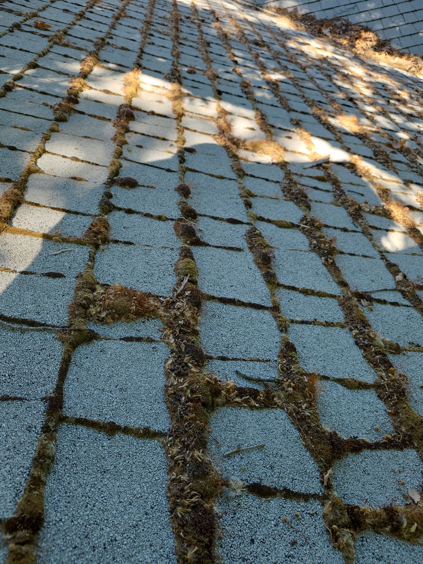 Roof Restore using Pressure Washer by Byers Enterprises 