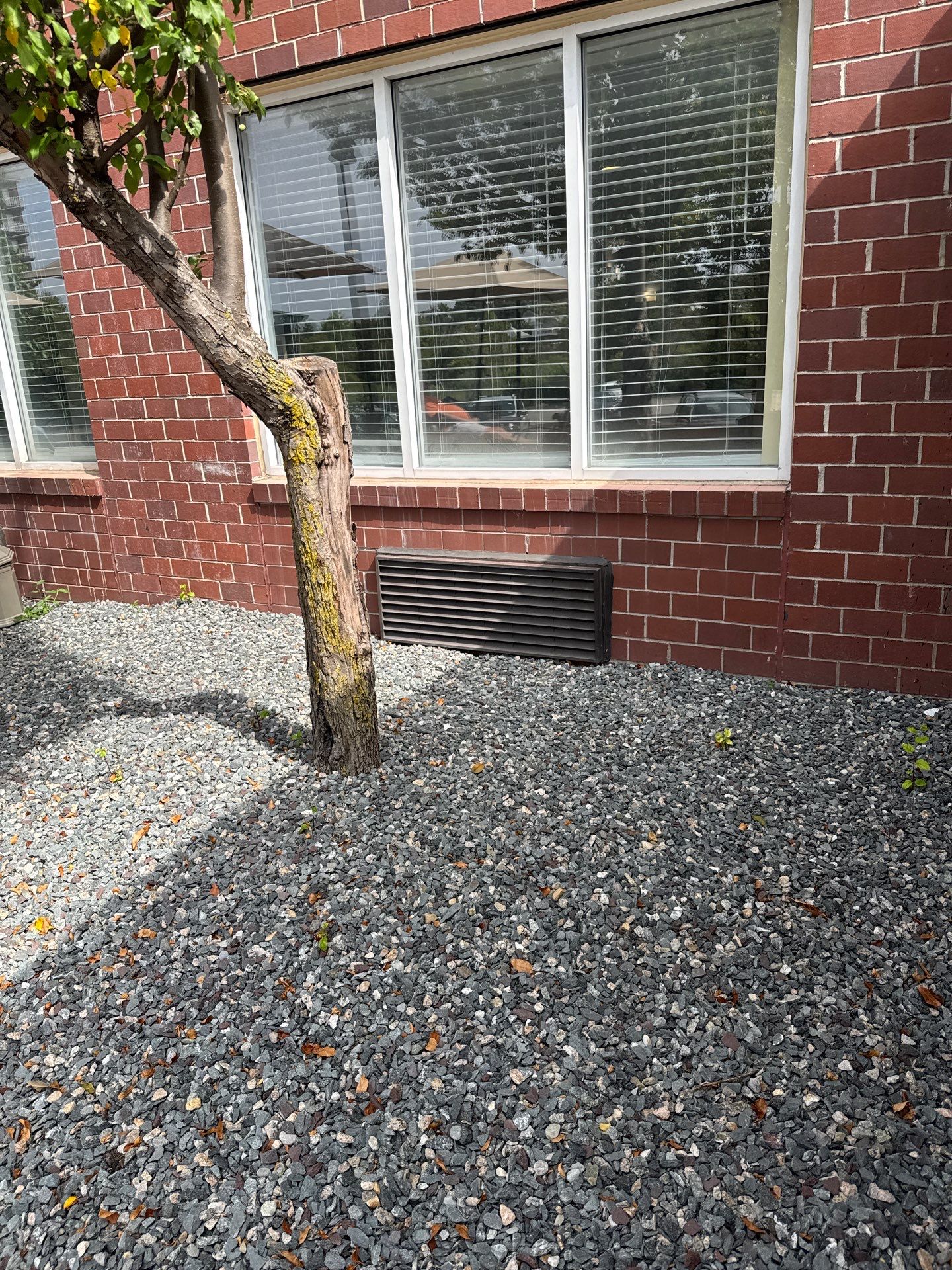 Project in Quincy by Crush Development Services LLC