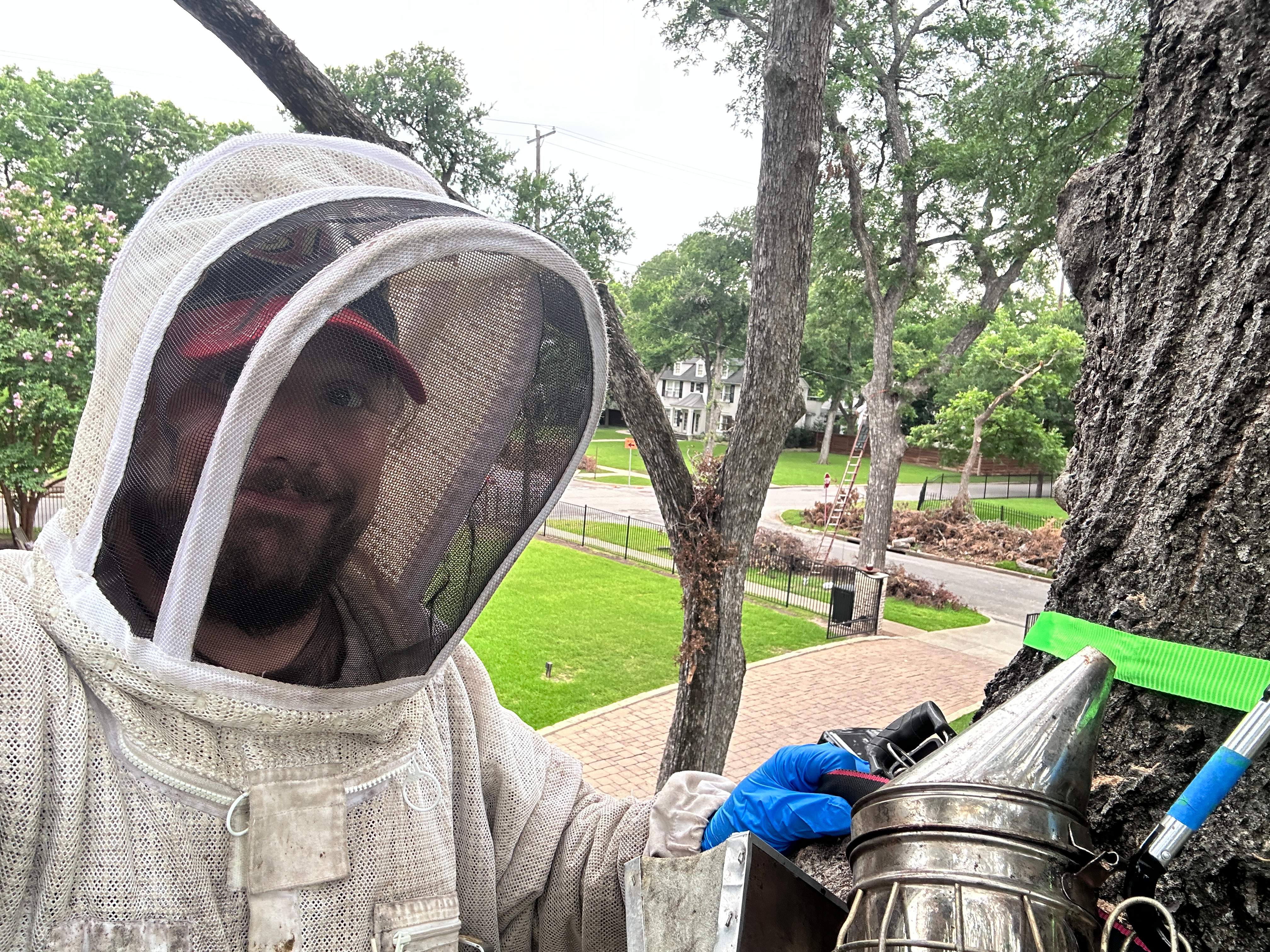 Smile! by Rockwall Honey Bee Company