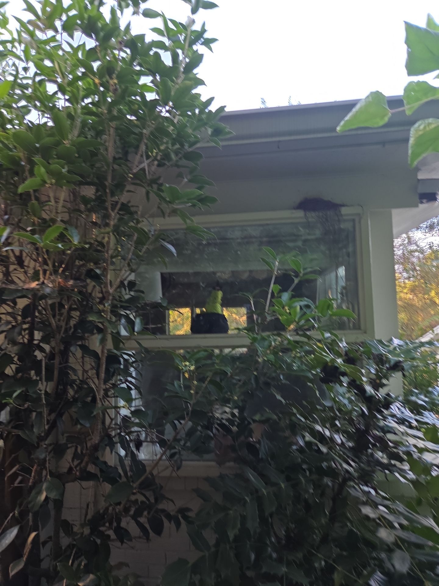 Schwartz Project in Vestavia by The Window Source