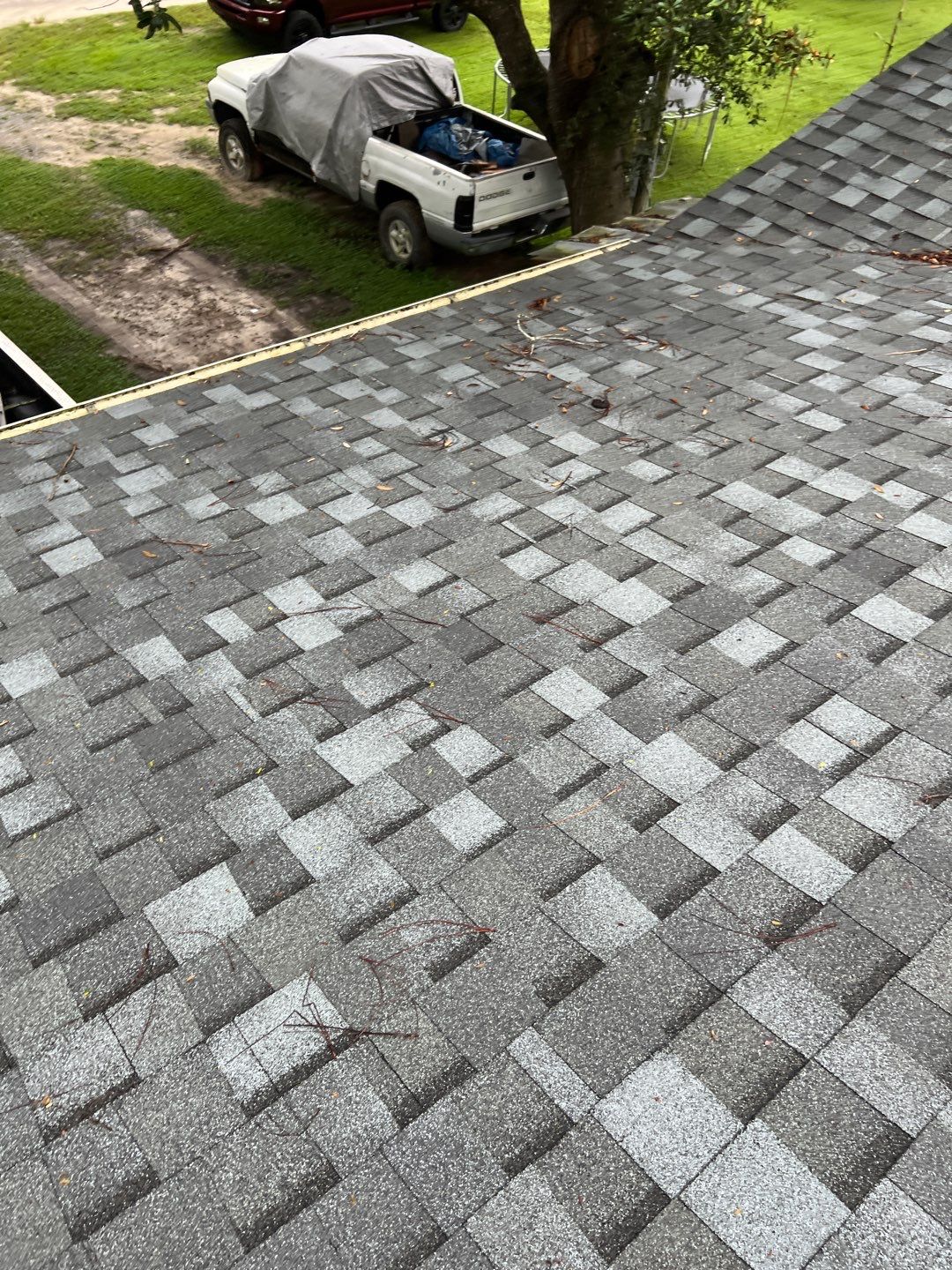 Shingle Reroof Replacement Altoona FL by Pinnacle Roofing Group