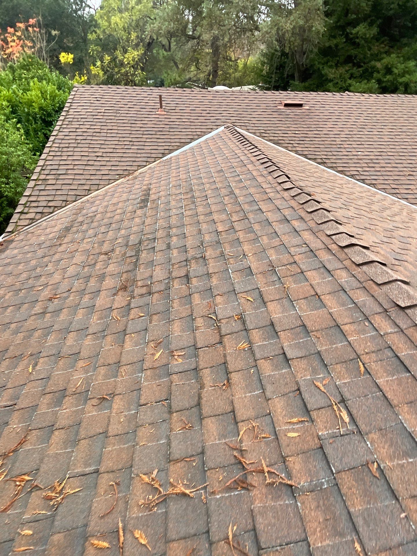 Roof Rejuvenation using Roof Maxx Treatment by Roof Maxx of Folsom