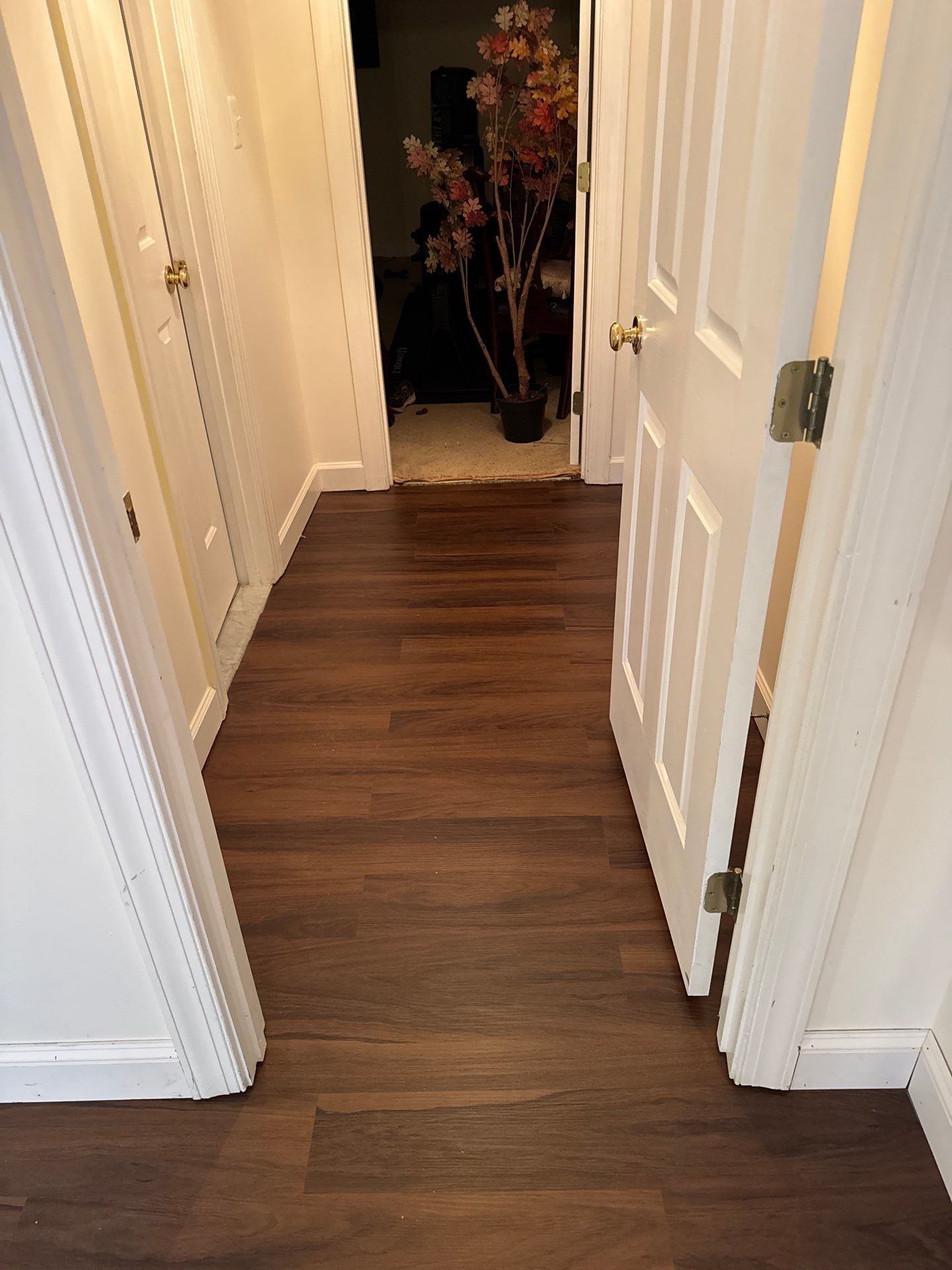 New Gutters, New Floor, New steps, New Paint job by Alpha Design Services