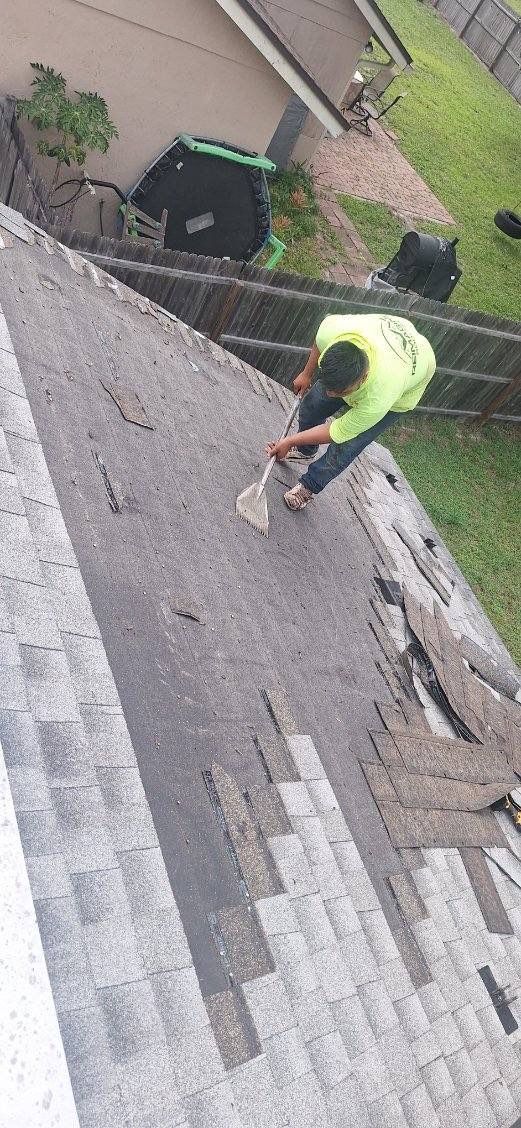 Silver Birch Shingles by Reimagine Roofing