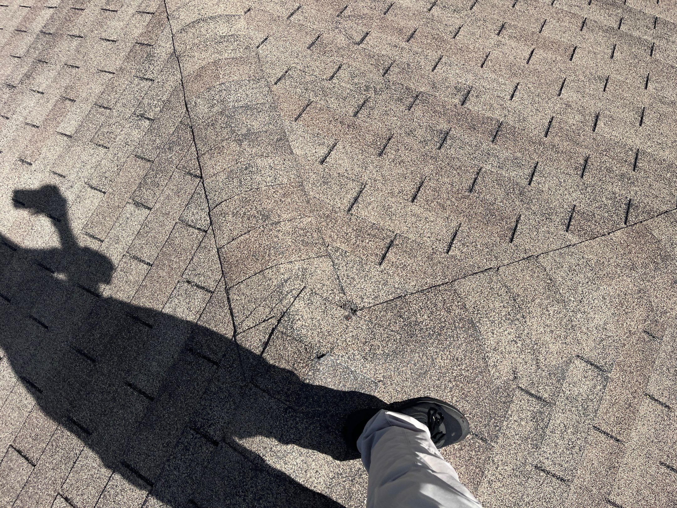 Shingle -> Shingle by Prime Roofing