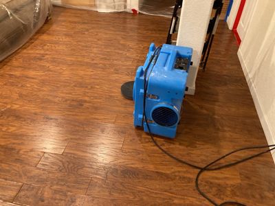 Sewage Backup using Air Scrubber