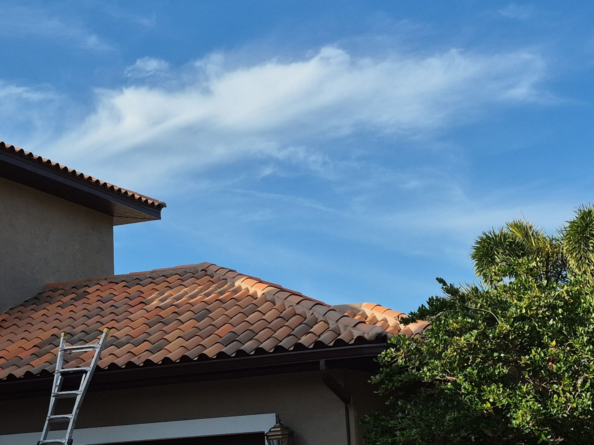 Project in Pinellas Park 33782 by Mitchell Roofing Company LLC