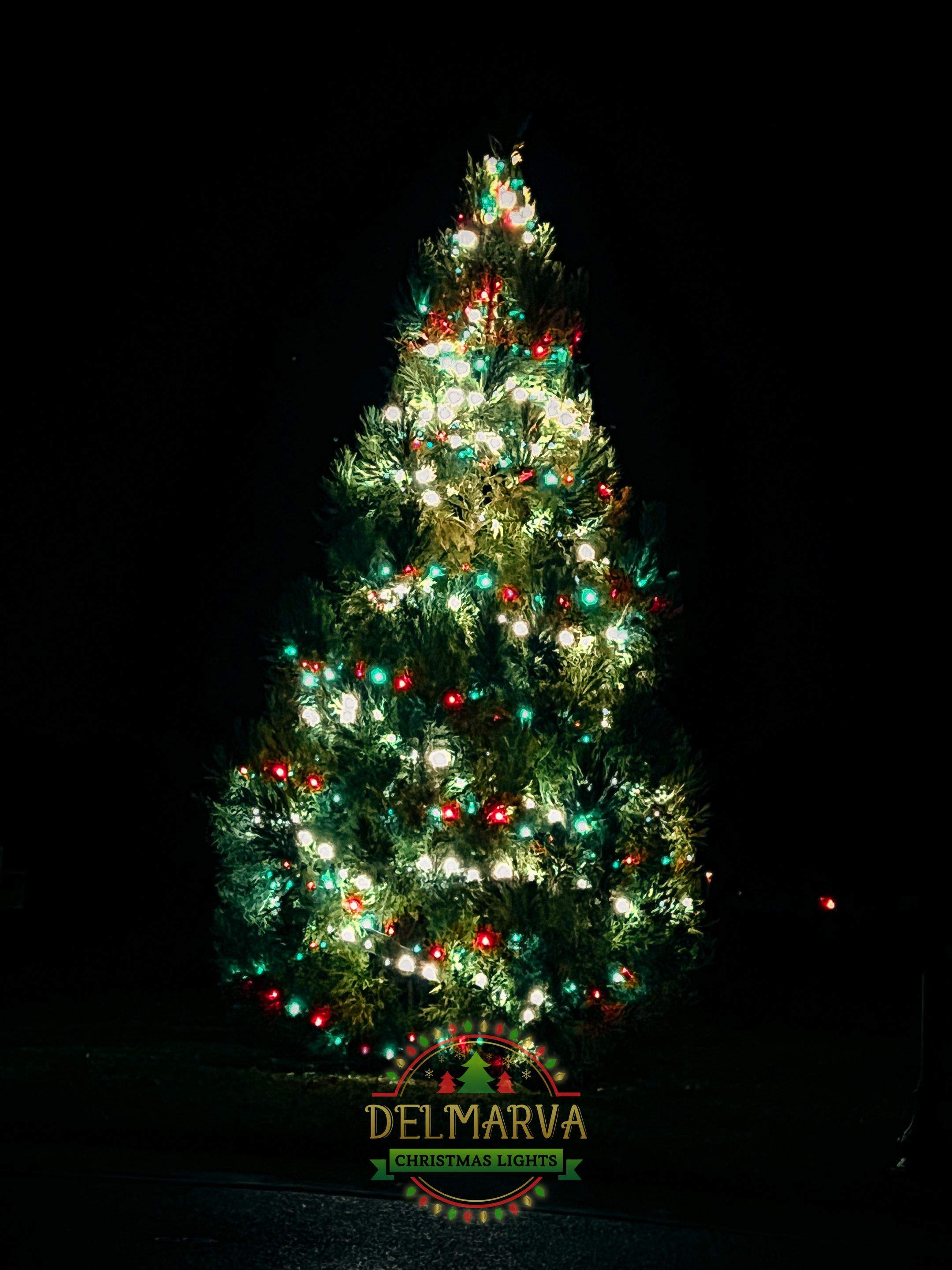 Christmas Lights by Clean Power Wash LLC