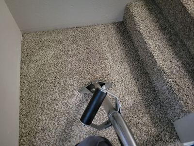 Condo, Move-out Carpet Cleaning