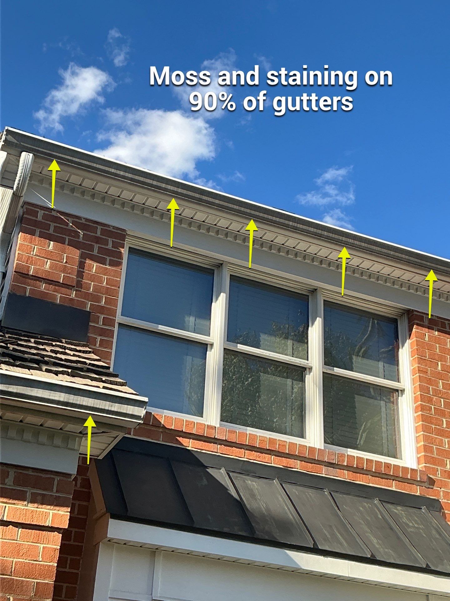 Johanna's Home in Newtown by Window Guardians