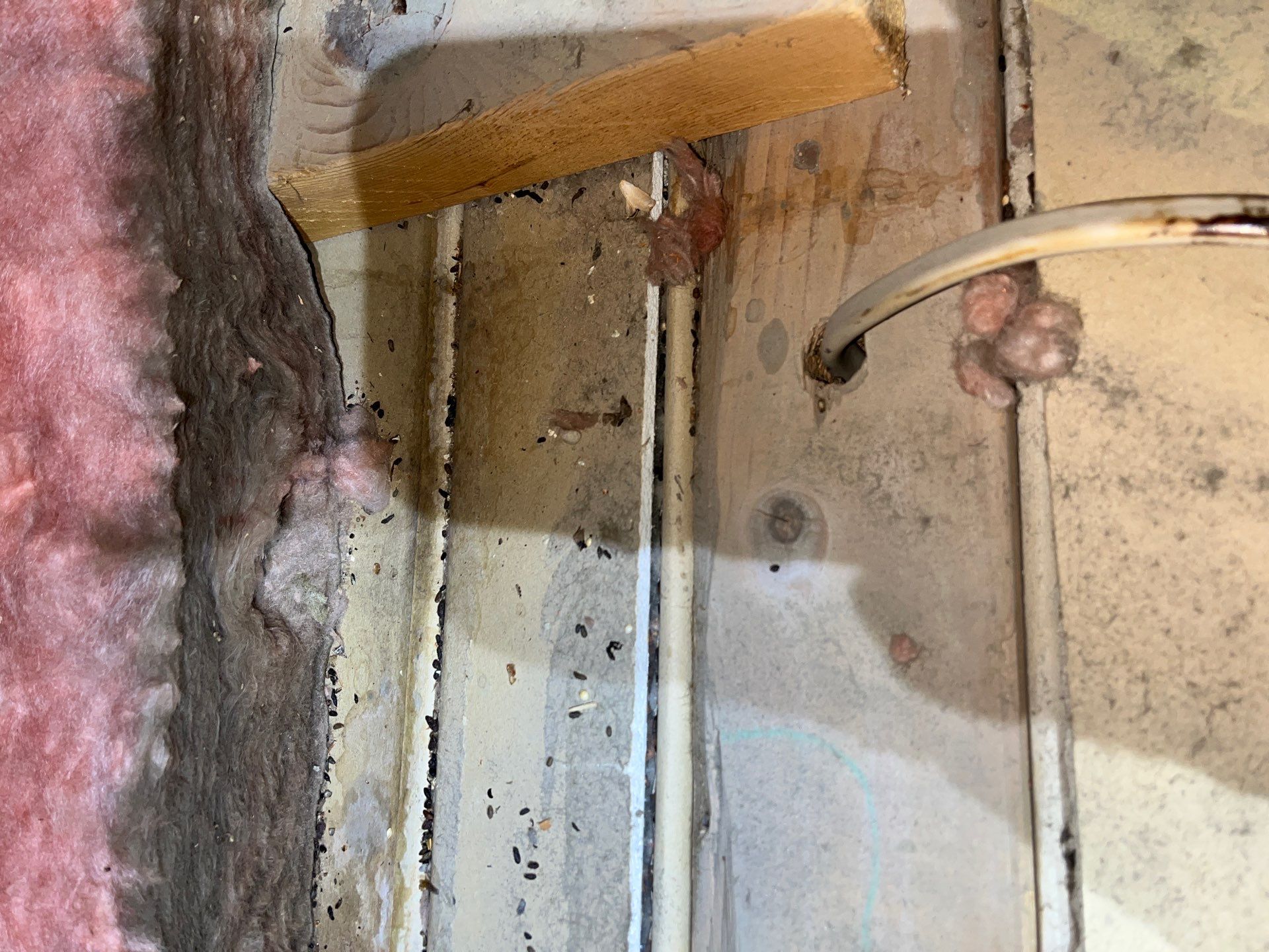 Attic Insulation and Air Sealing Upgrade in Mingo Junction by Home Environment Solutions