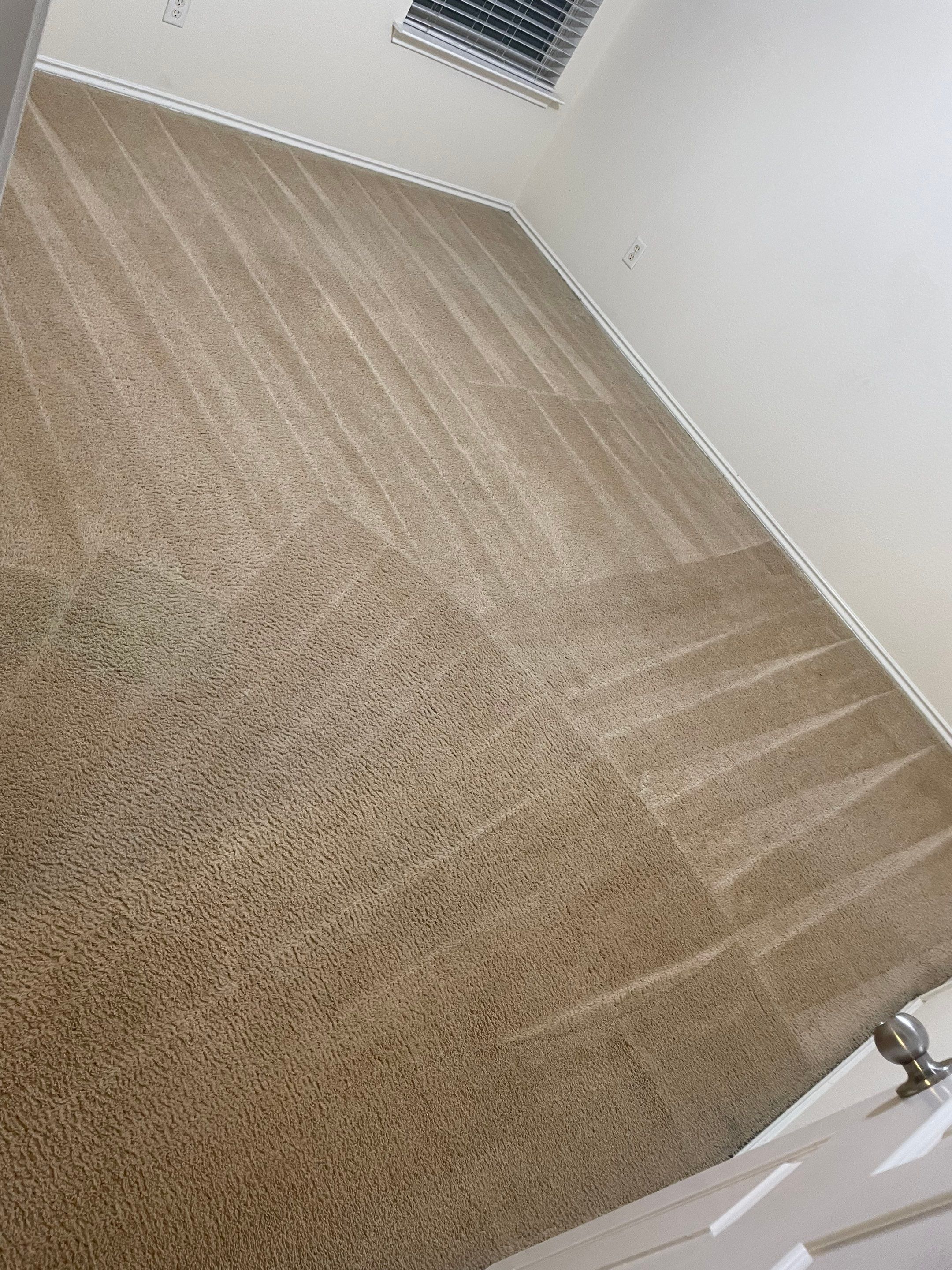 carpet cleaning service creating clean patterns on beige carpet in an empty room