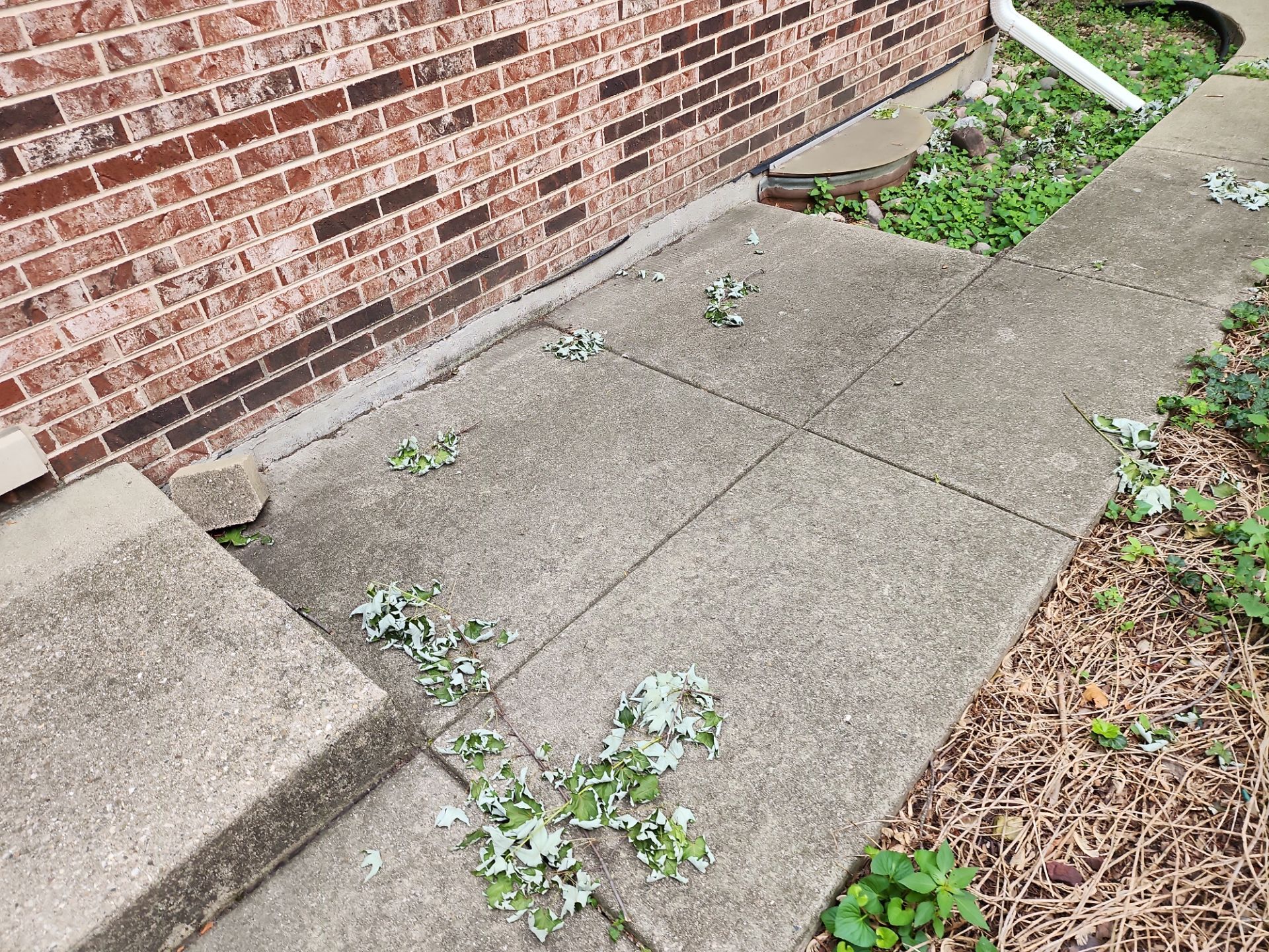 Palatine house wash and concrete power washing by Northern Power Washing LLC.