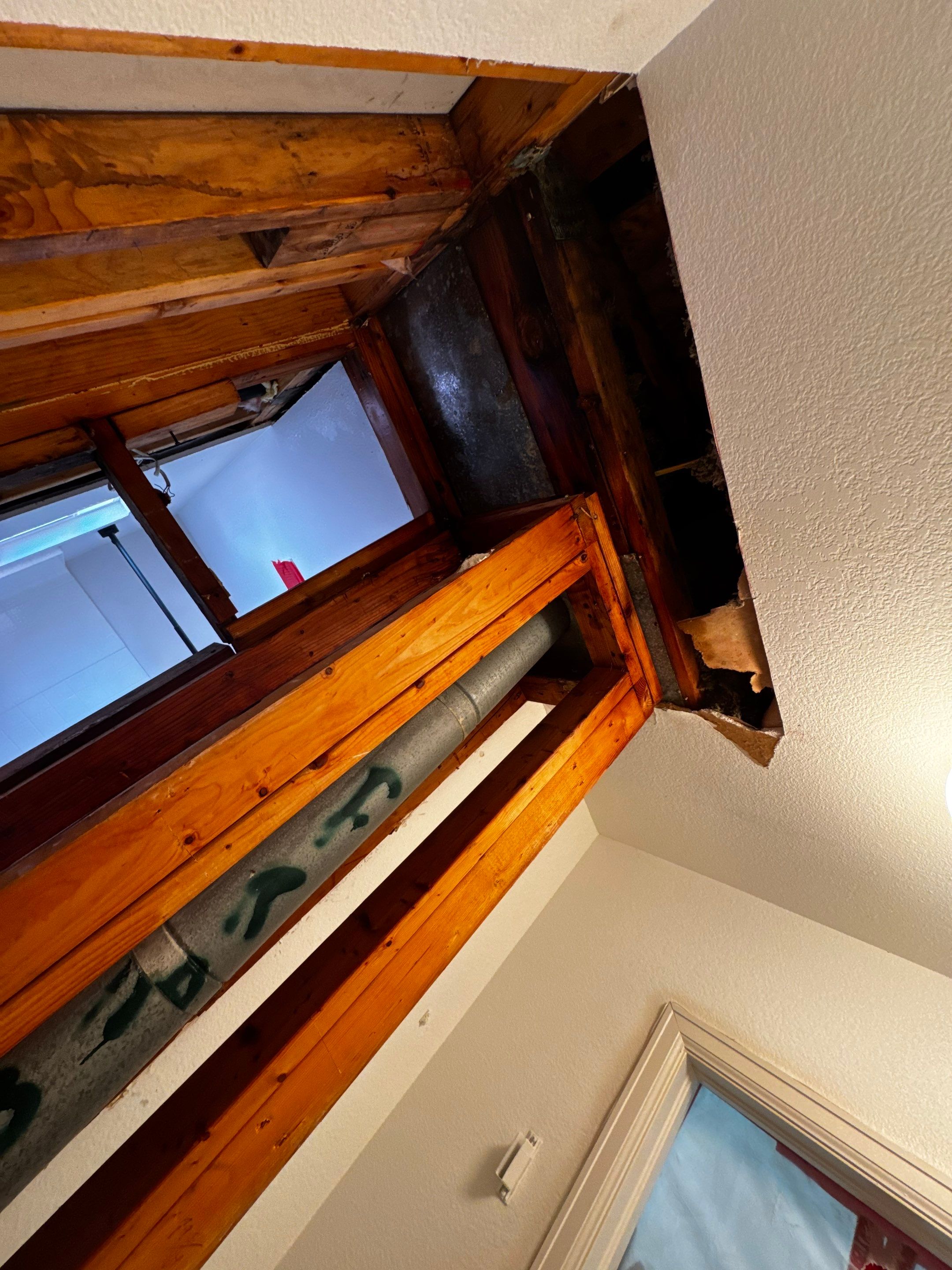 Mold Damage by Accountable Home Services