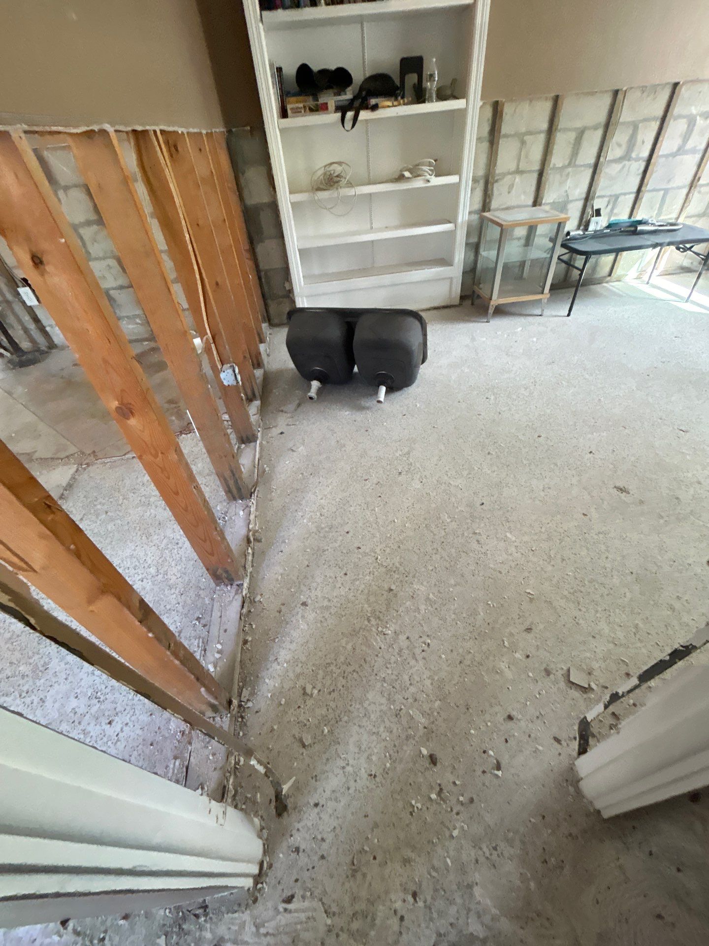 Mold Remediation + Reconstruction Bradenton by Ampm Restoration Services