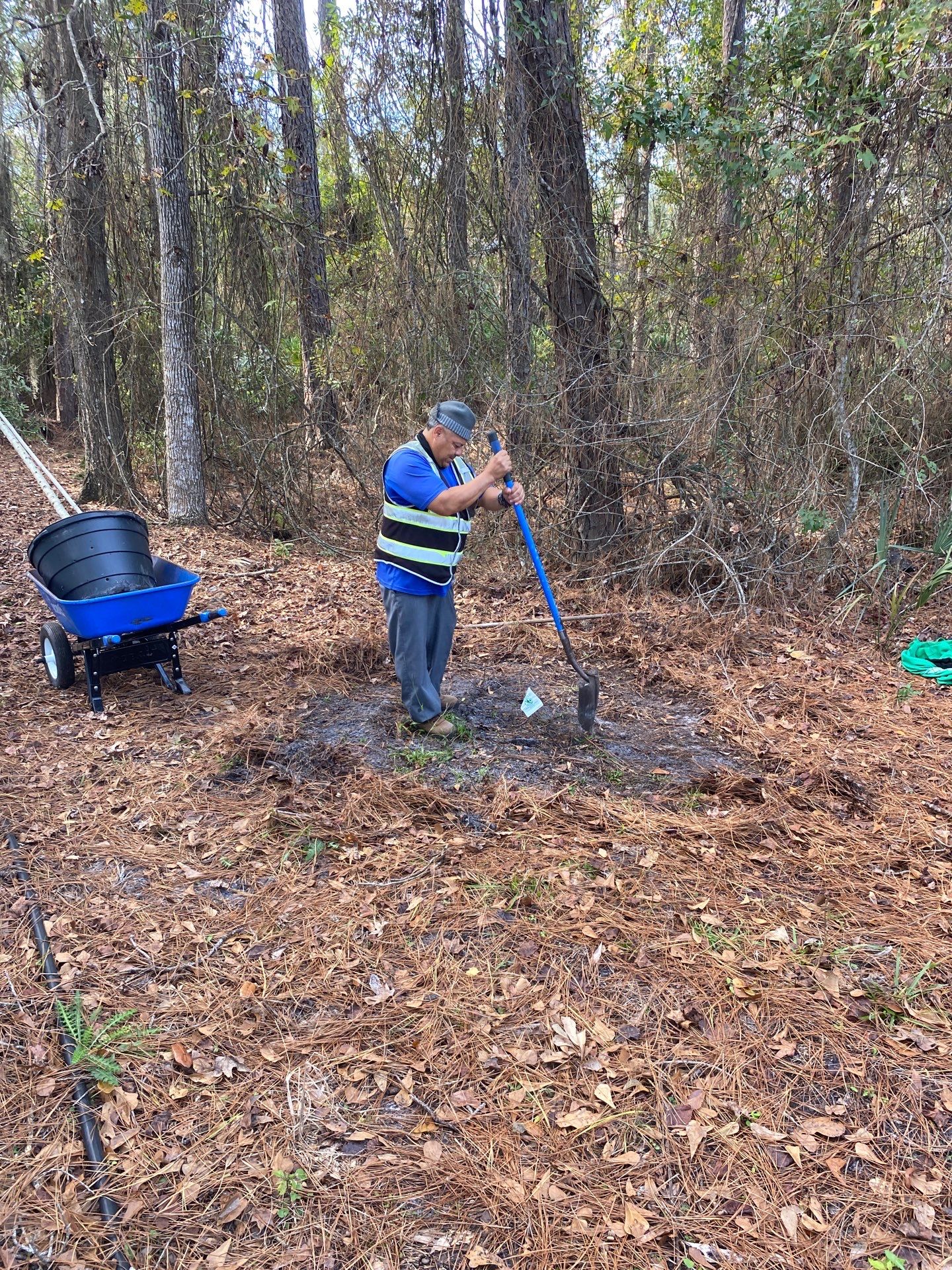 Deerwood Resident | Tree Installation by ProGreen Services
