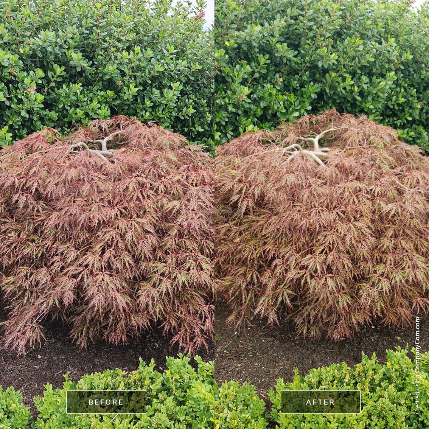 Garden Care - Central Saanich by Habanero Garden and Exterior Care