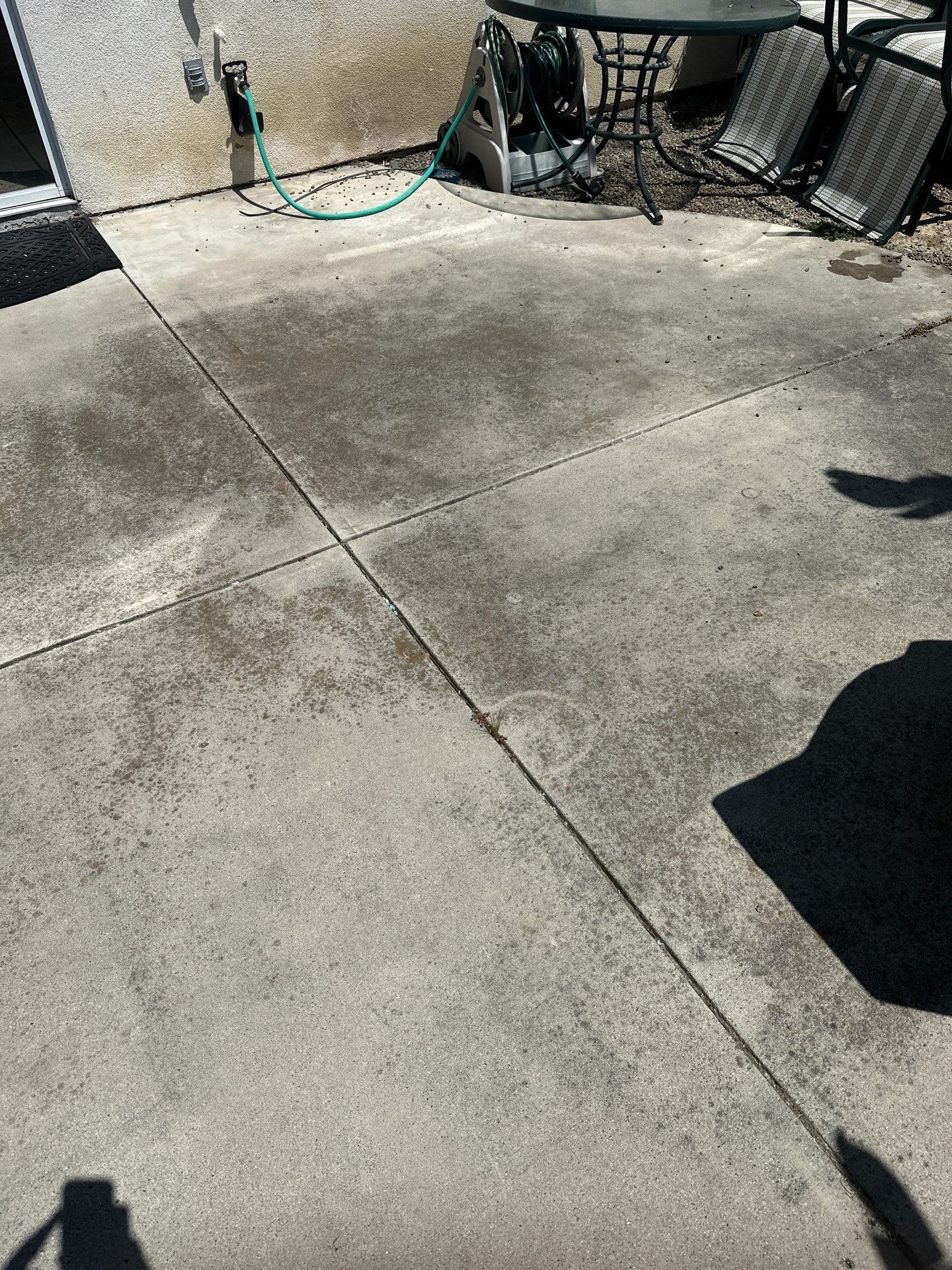 This home was COVERED in growth by Property Cleaning Experts, LLC