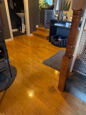 Maid service cleaning Project in Tigard