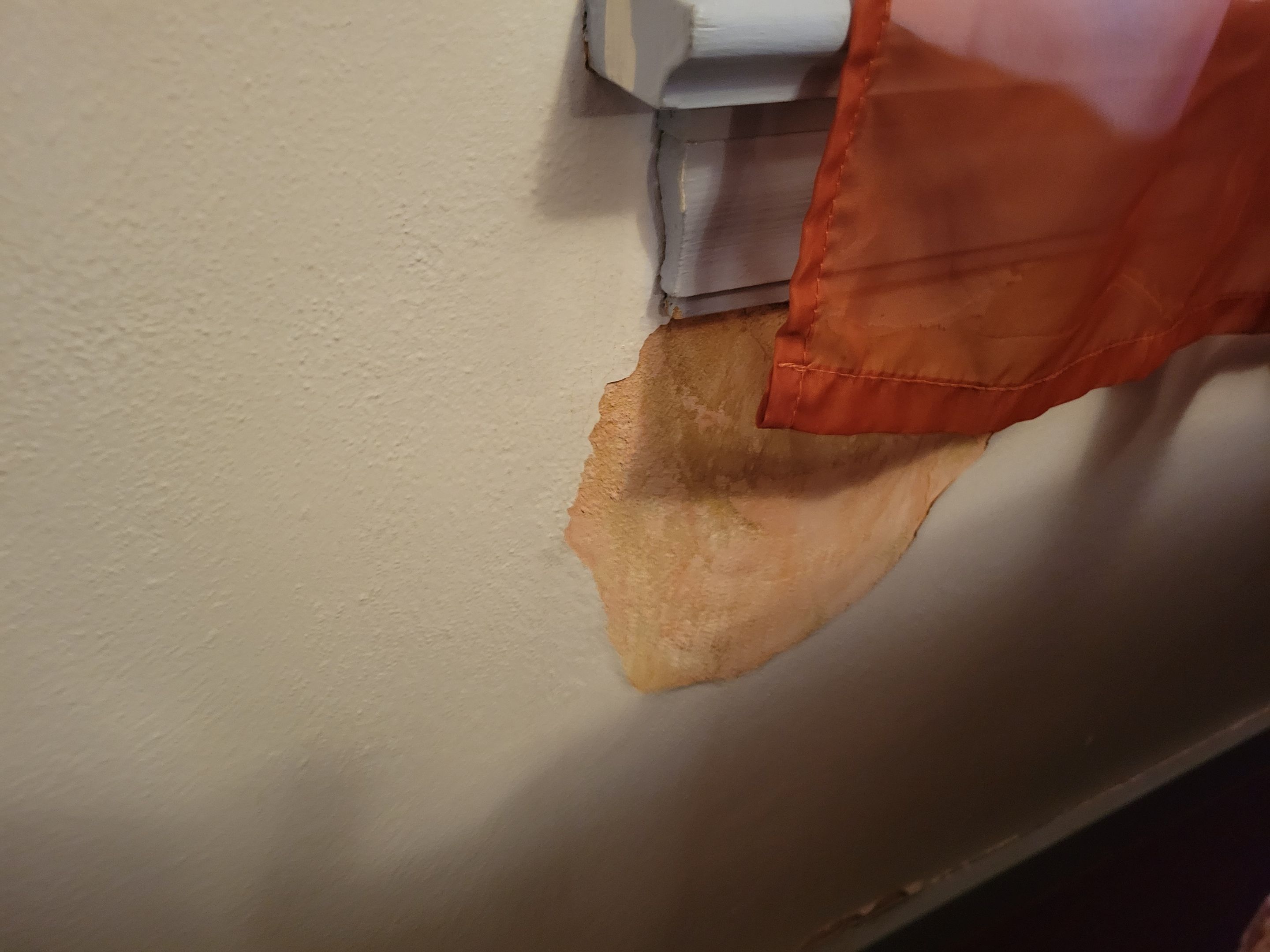 Roof/Siding Leak by Chicagoland Water Medics