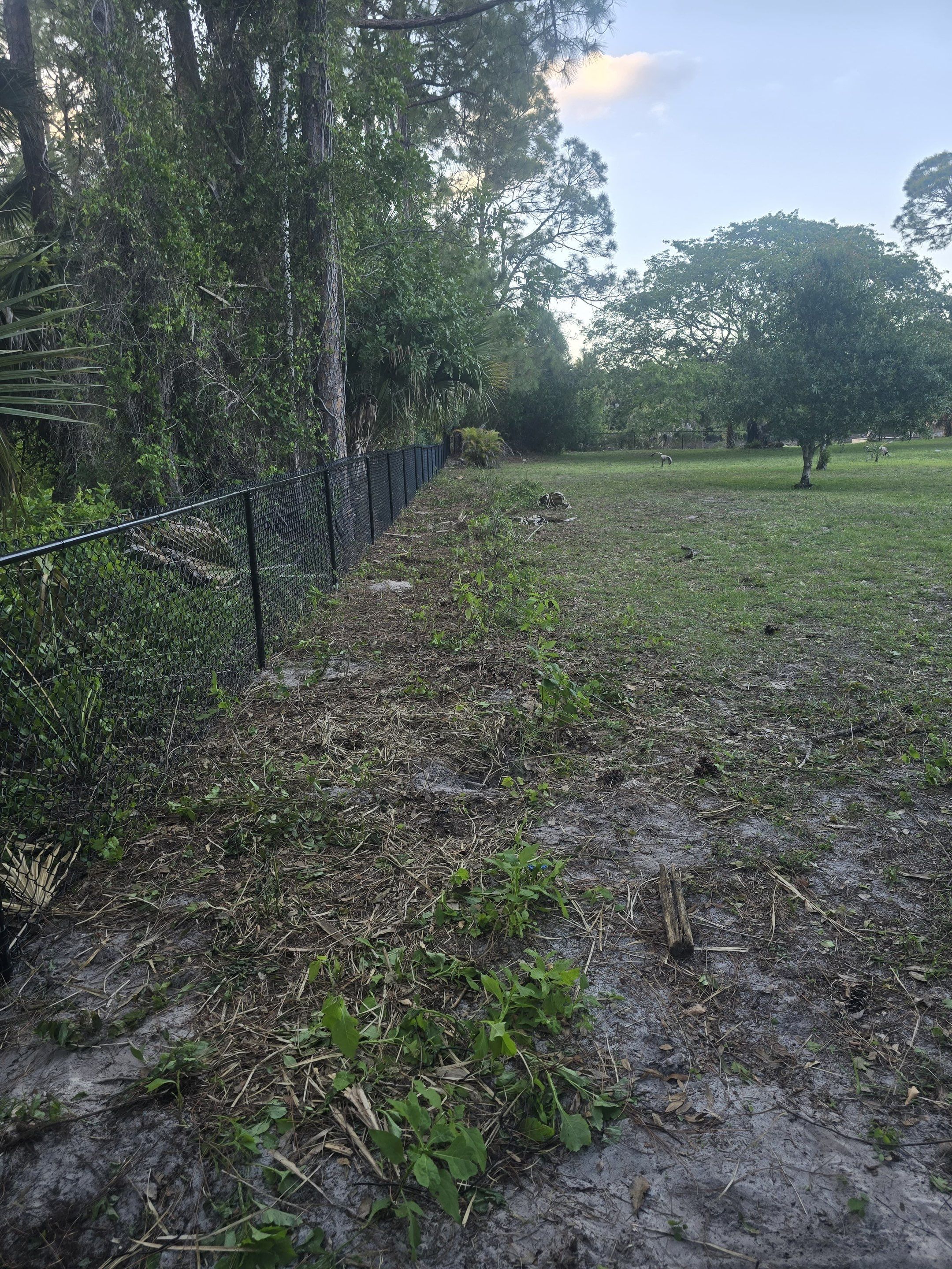 Chain Link Fence in Naples by True Fence LLC