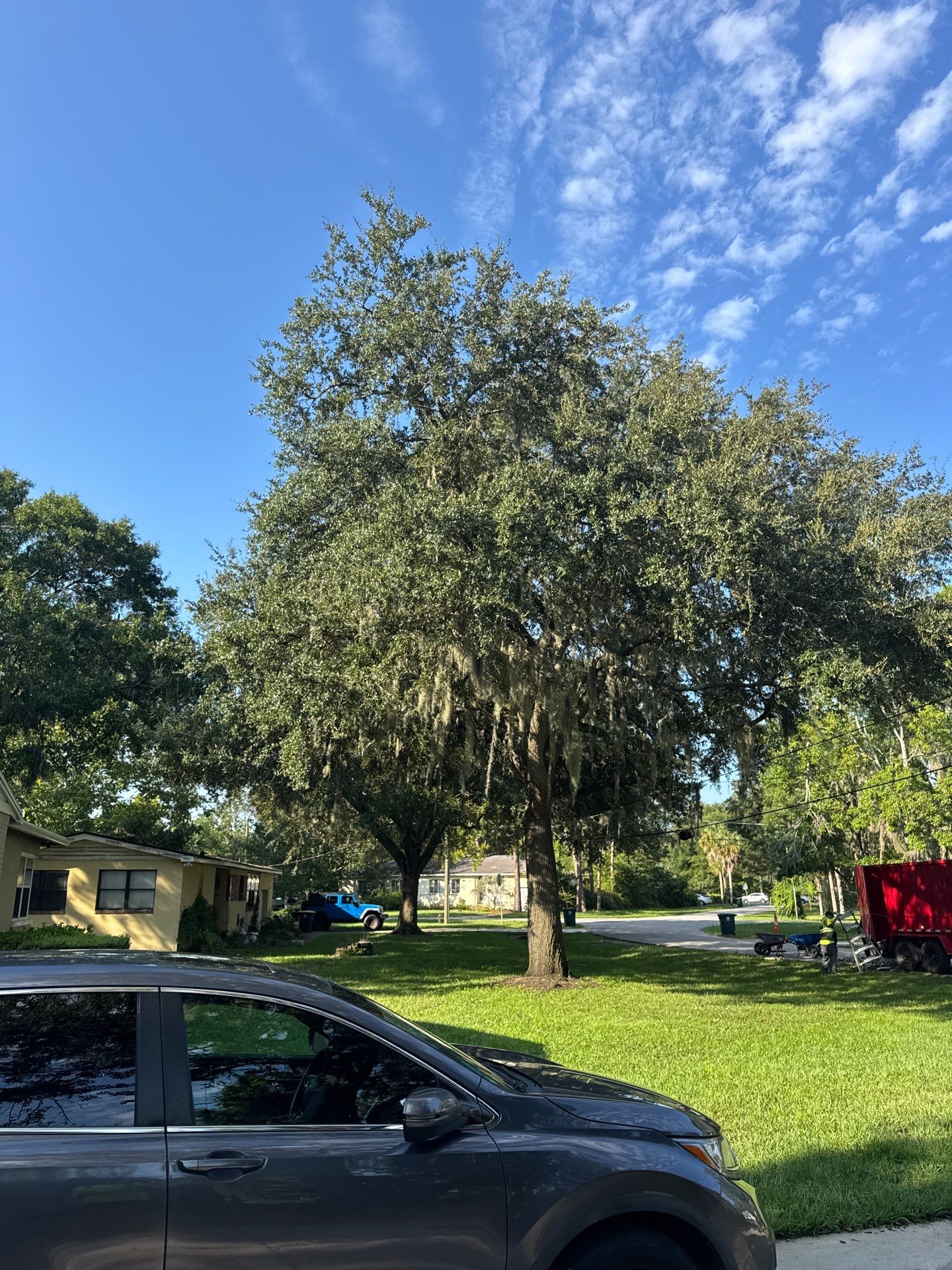Residential | Tree Trimming  by ProGreen Services