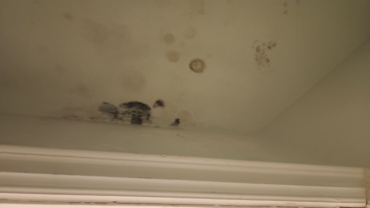 HVAC MOLD ASSESMENT by Building performance Solutions LLC