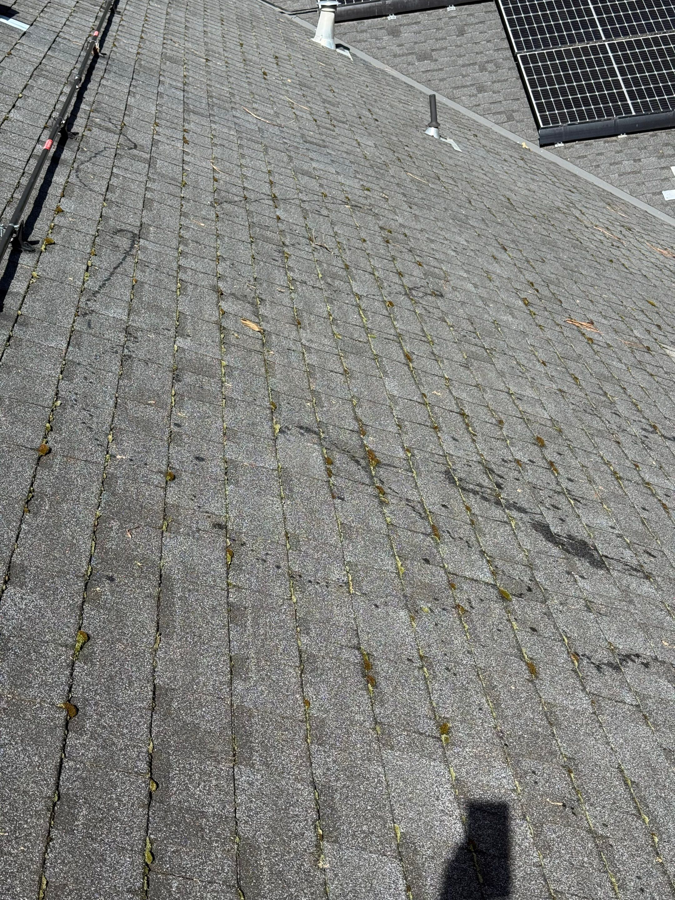 Roof Rejuvenation using Roof Maxx Treatment by Roof Maxx of Folsom