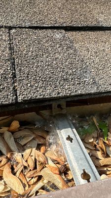 Turtle Shell gutter protection installation in Naperville, IL 60563, photograph 9