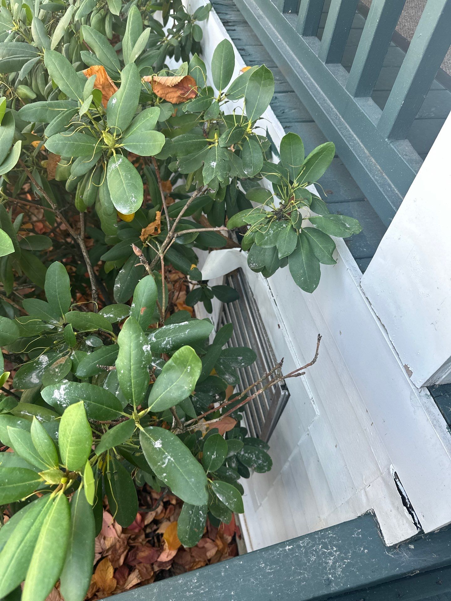 Oakmont Country Club Deck Build by Cousins Roofing Siding & Decks