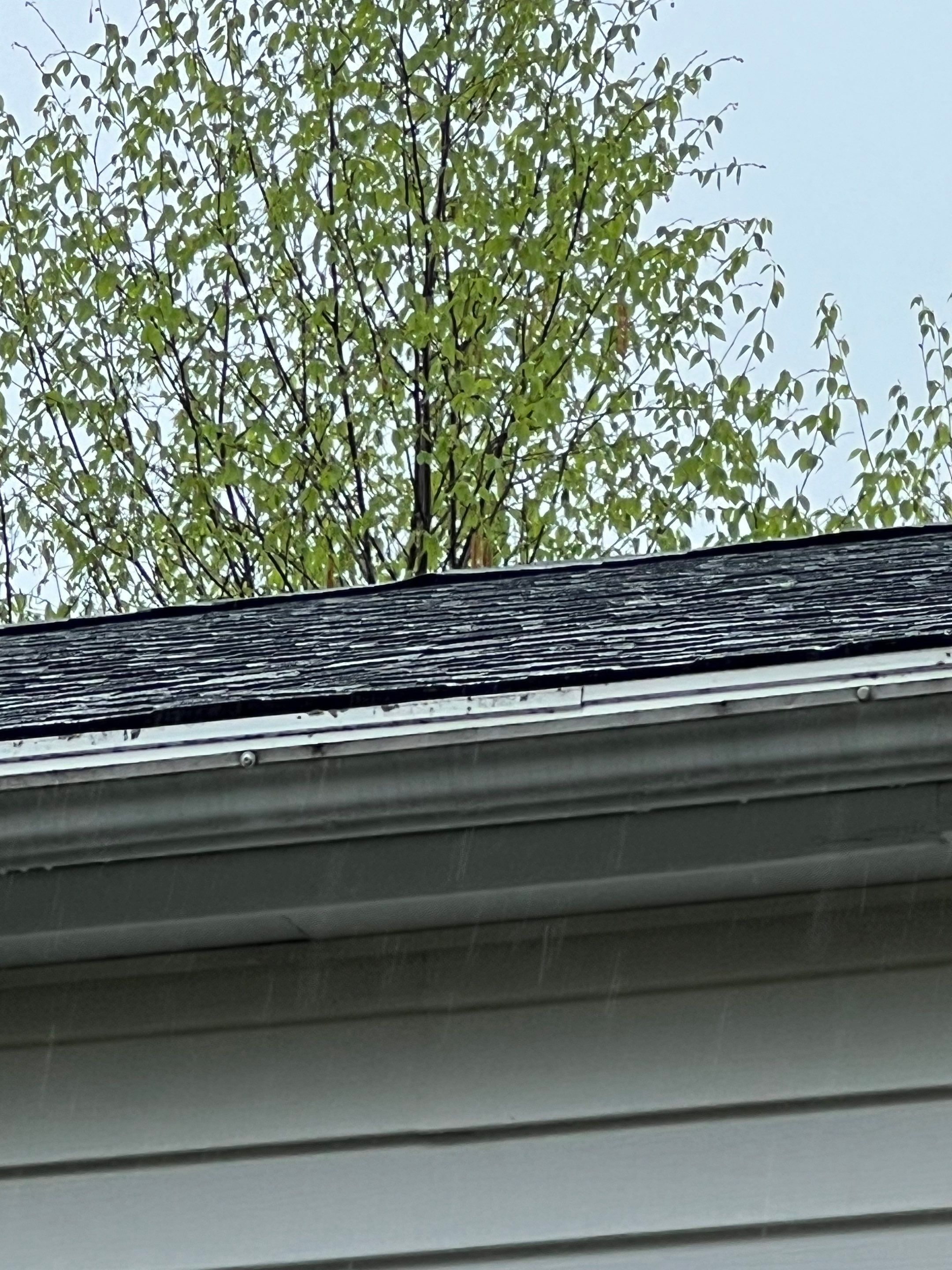 Gutters & Roofing | Acton by Mighty Dog Roofing of Greater Middlesex County