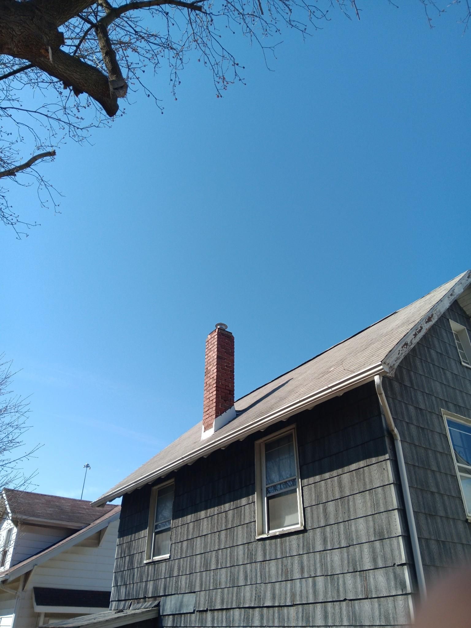 Tree Trimming using Tree Pruing by Mike Jones & Sons Tree Service LLC 