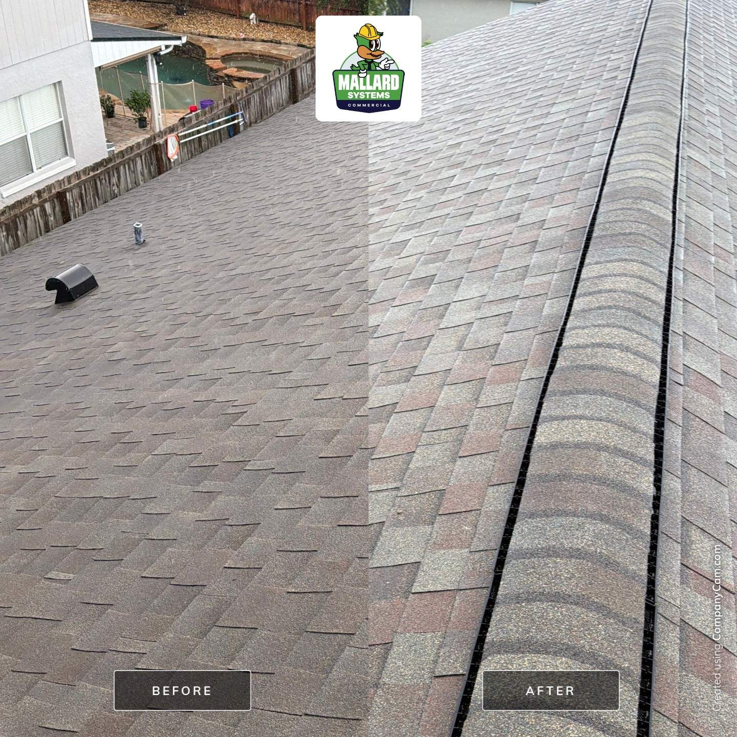 Shingle Roof Cleaning and Exterior House Wash in Oviedo by Mallard Systems