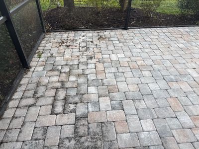 Paver Pool Deck Cleaning Showcase – Lakewood Ranch, FL