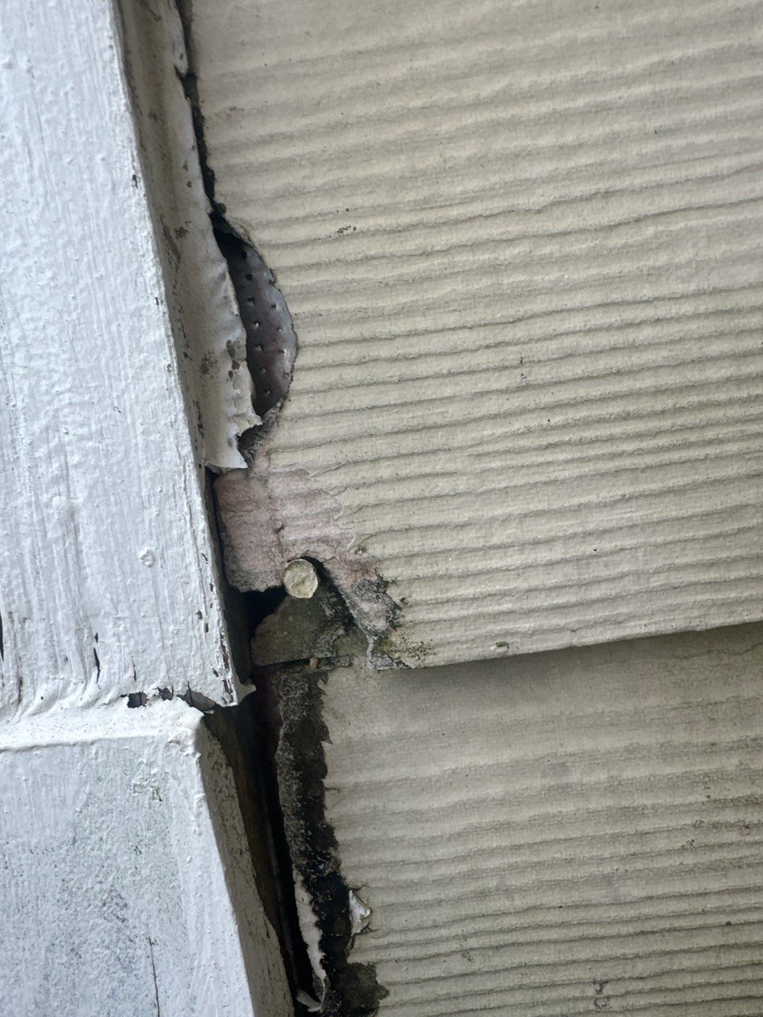 Roof Repair Richmond by Roof Repair Company