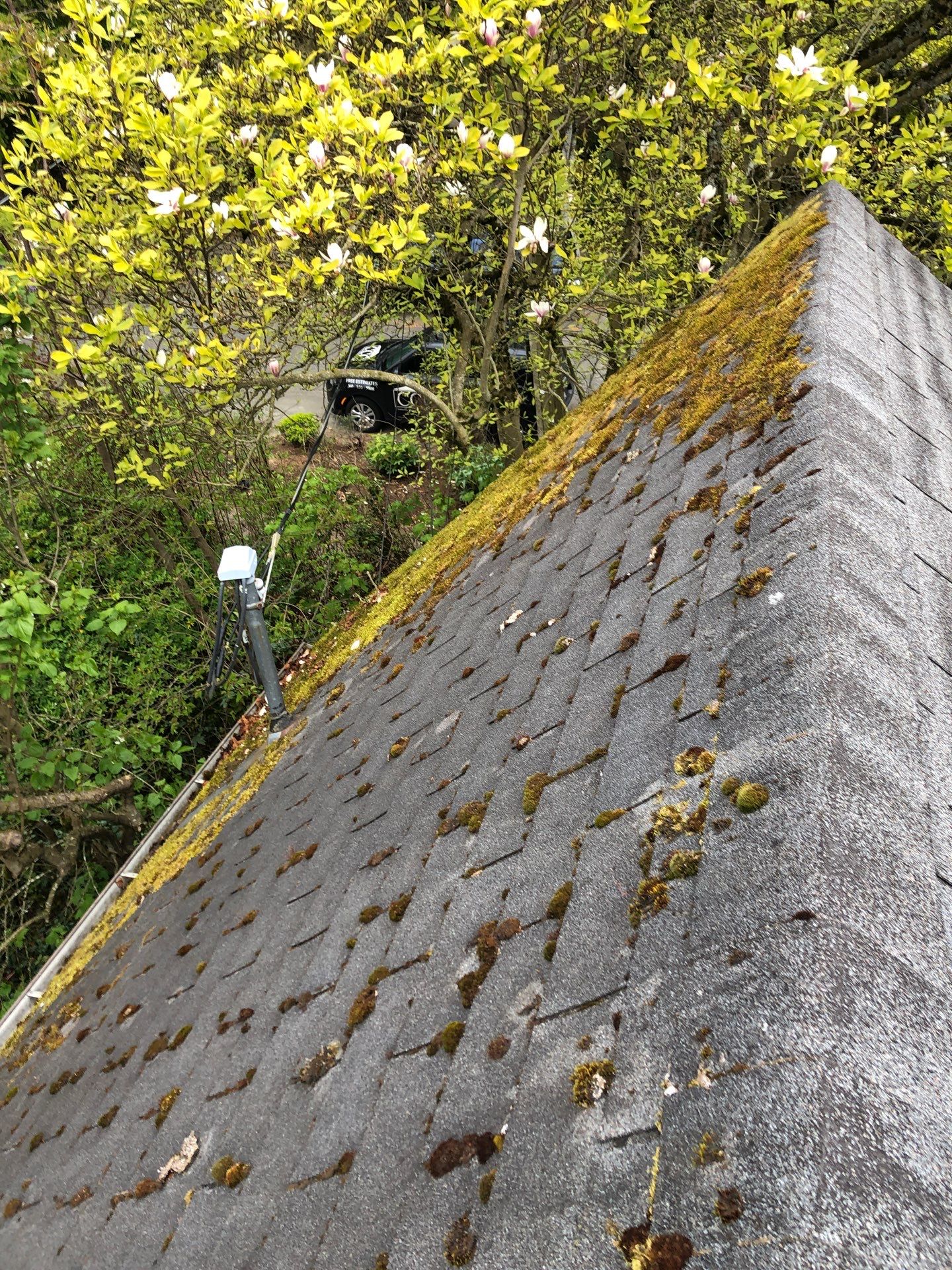 Project in Seattle by Connolly Construction Company