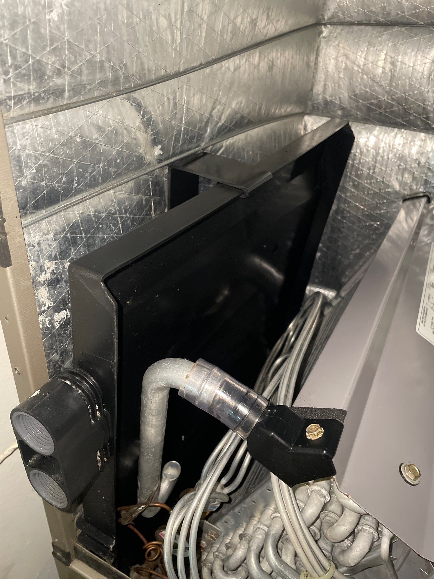 Air Duct Cleaning in Clermont by Hygienic Air, Inc