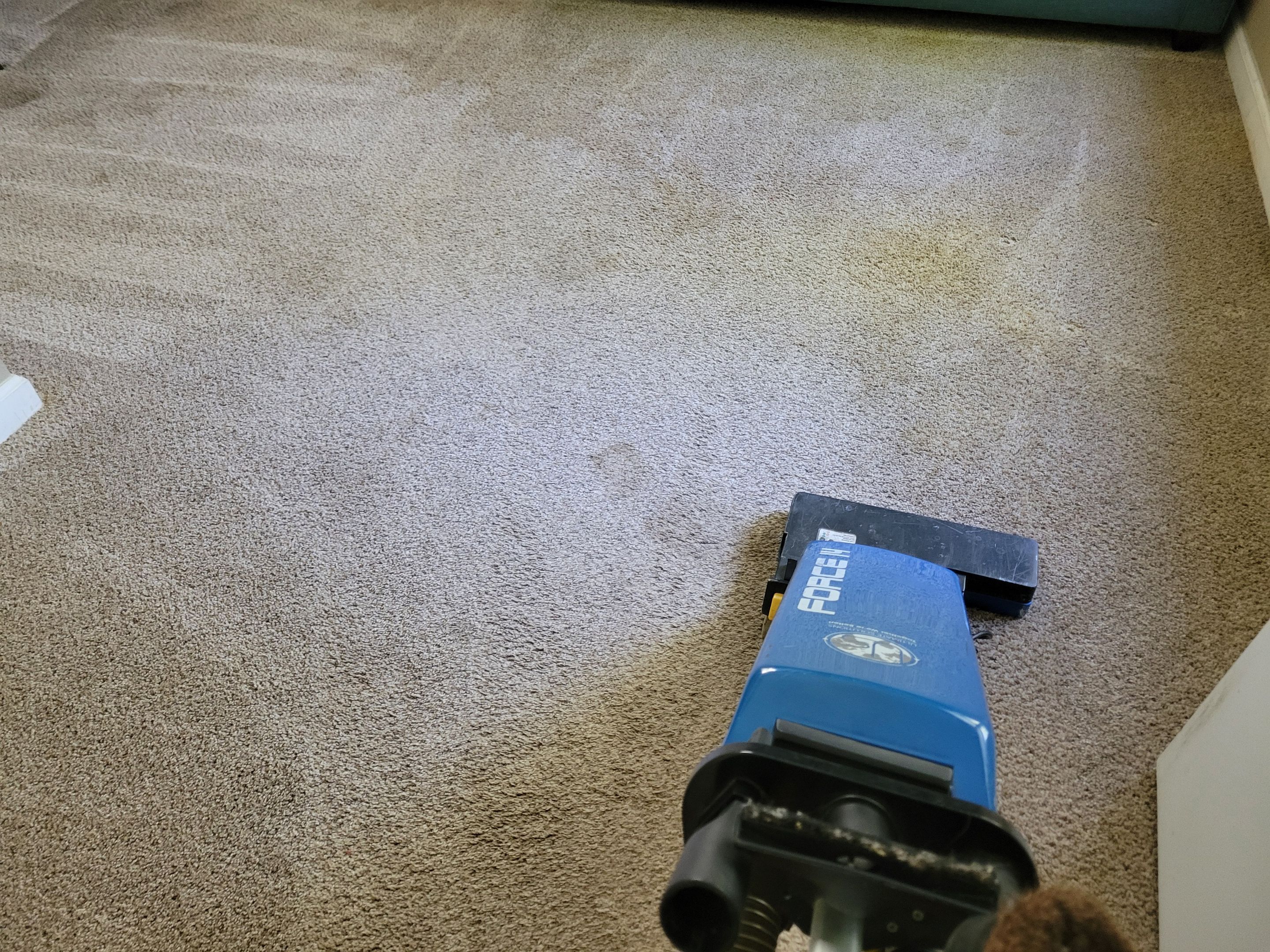 Pet Stain Treatment and Carpet Cleaning by Ardent Carpet Restore LLC
