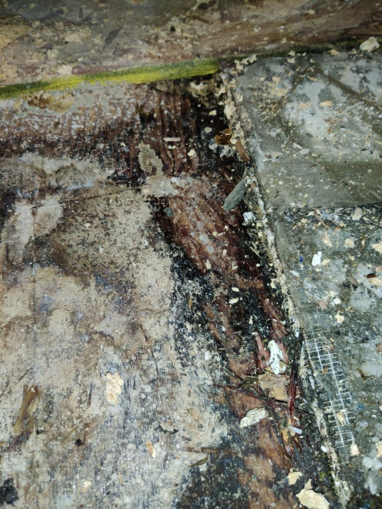 Mold Remediation using Containment by Accountable Home Services