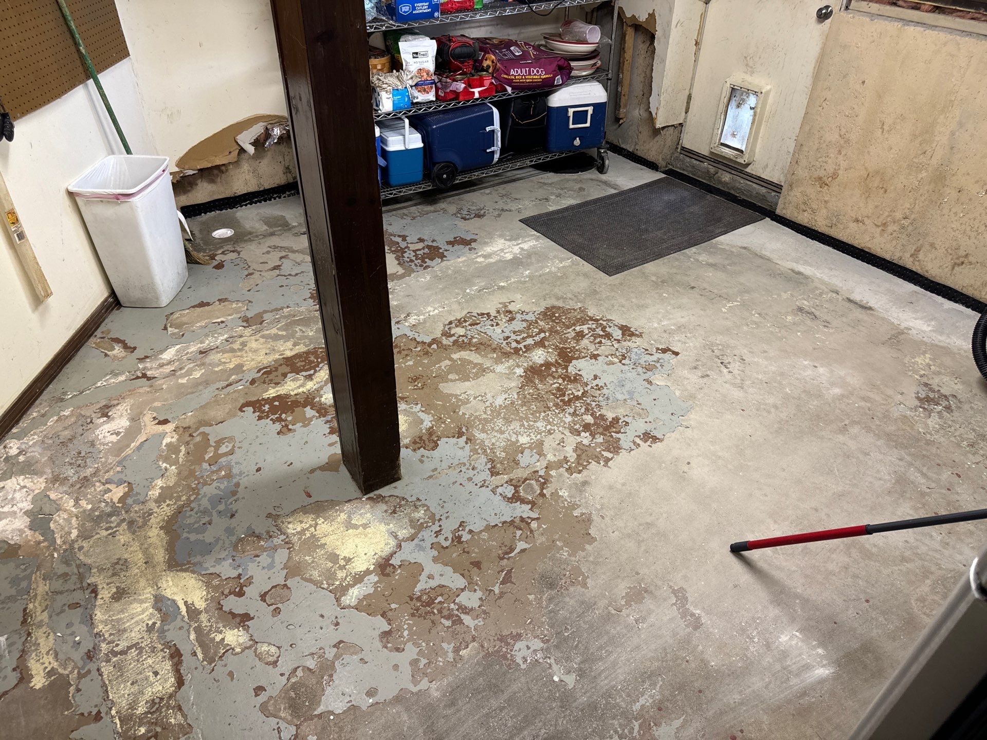 Basement in Nashua, NH 03062 by Symphony Concrete Coatings
