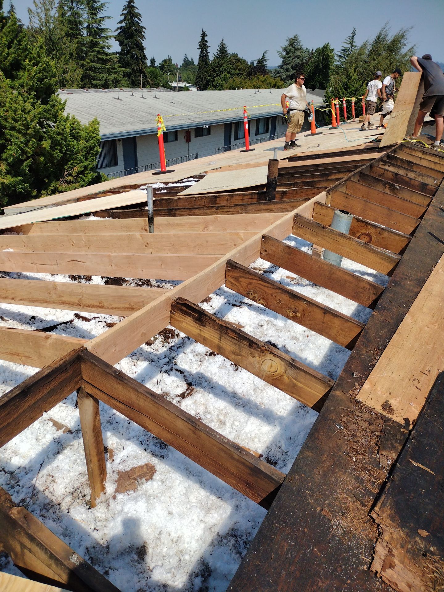 Commercial Flat Roof Installation using GAF 60Mil TPO  by Orezona Building & Roofing Company, Inc.